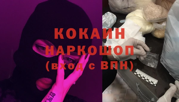 стафф Арсеньев