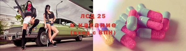 мяу мяу мука Аркадак