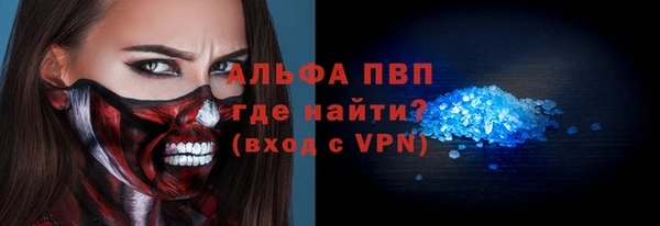 спиды Богородицк