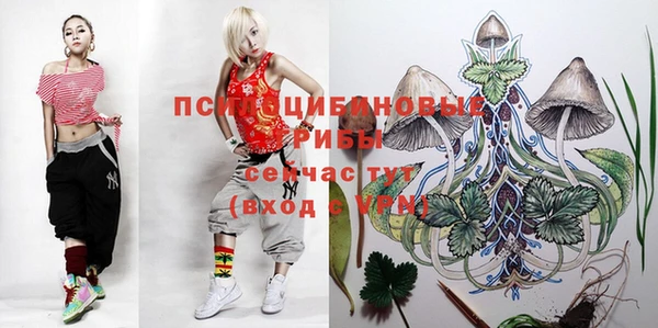 мяу мяу мука Аркадак
