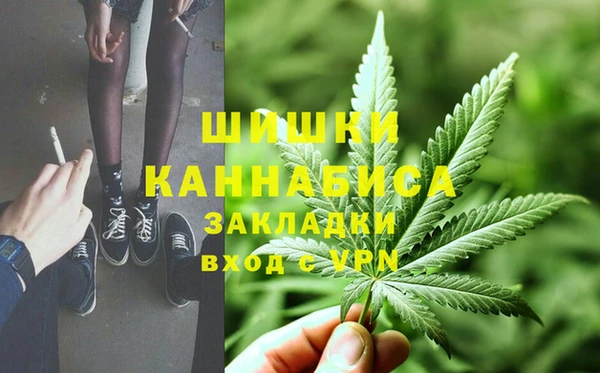 стафф Арсеньев
