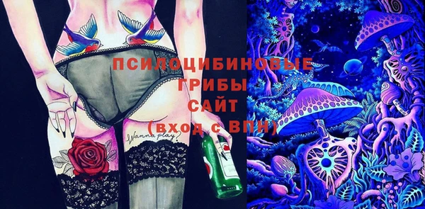 стаф Армянск
