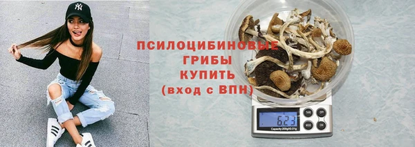 стафф Арсеньев