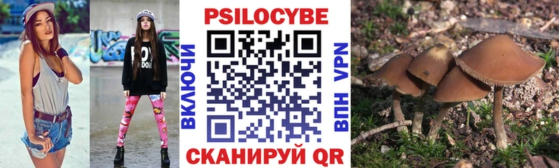 Псилоцибиновые грибы GOLDEN TEACHER  купить наркотик  Дзержинск 